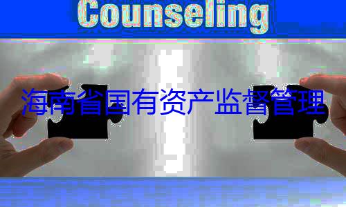 资产监督管海南省国有委副书记王理委员会党有福接受审查调查